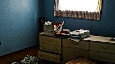 Elvis in the basement!!! - Elvis-on-Lowther23.jpg