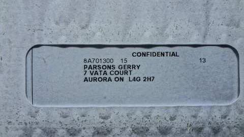 Elvis in the basement!!! - Elvis-on-Lowther34.jpg