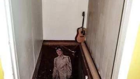 Elvis in the basement!!! - Elvis-on-Lowther37.jpg