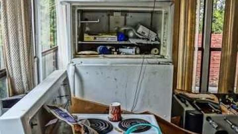 Elvis in the basement!!! - Elvis-on-Lowther45.jpg