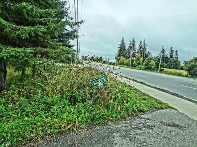 Bathurst Bungalow photo 5