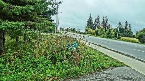 A roofers house - Bathurst-Bungalow10.jpg