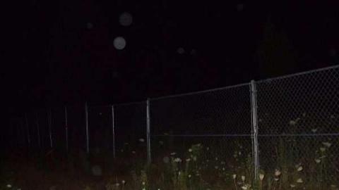 Jackson's Point Red Barn Inn - Georgina, Ontario