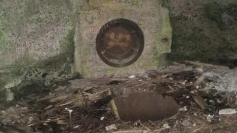 Power Dam - Casselman-Spillway16.jpg