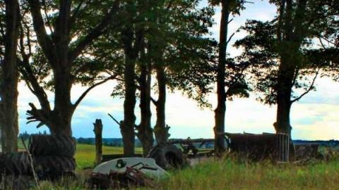 Barn School - S.S.-Little-Lakes-School36.jpg