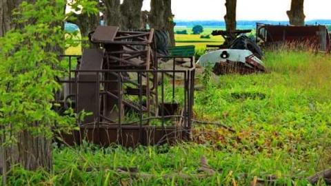 Photo from Barn School