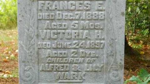 Orange Valley Road Cemetery photo 3