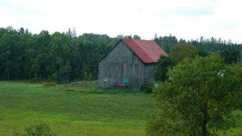 Orange Valley Road Cemetery photo 5
