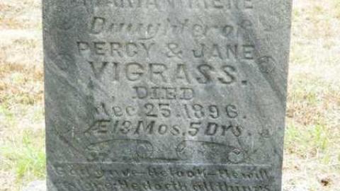 Seguin Cemetery - Seguin-Falls-Cemetery1.jpg