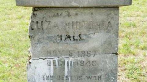 Seguin Cemetery - Seguin-Falls-Cemetery2.jpg