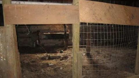 Work Shop - Abandoned-Work-Shop3.jpg