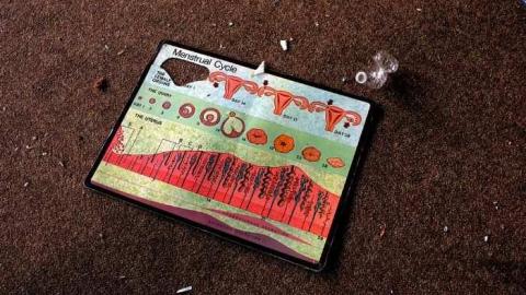 Bowmanville Senior  - Bowmanville-Senior-Public-School231.jpg