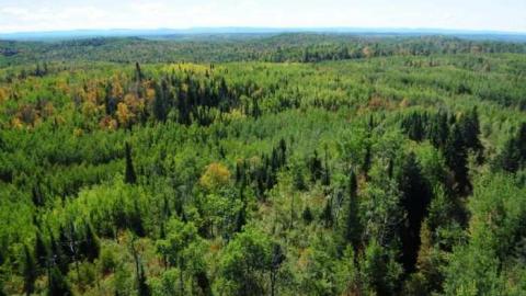 Sistonens - Conmee-Fire-Tower17.jpg