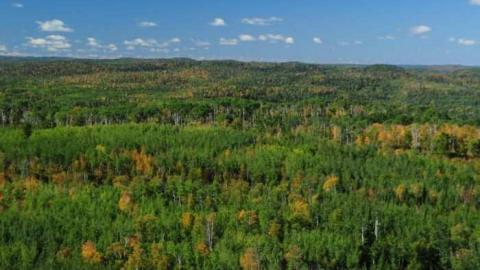 Sistonens - Conmee-Fire-Tower14.jpg