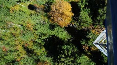 Sistonens - Conmee-Fire-Tower18.jpg