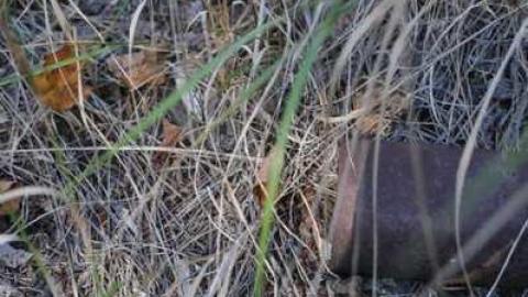 Sistonens - Conmee-Fire-Tower16.jpg