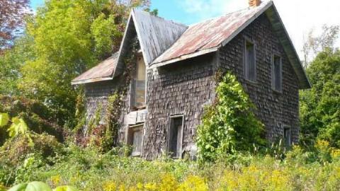 Photo from Man's field