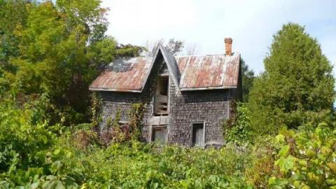 Photo from Man's field