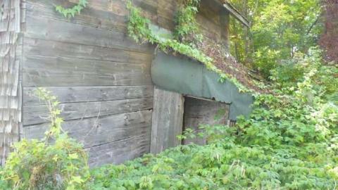 Photo from Man's field