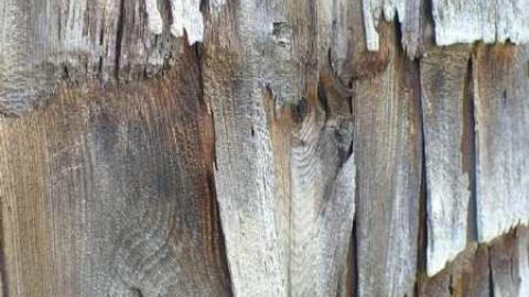 Man's field - P1090858.jpg