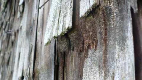 Man's field - P1090859.jpg