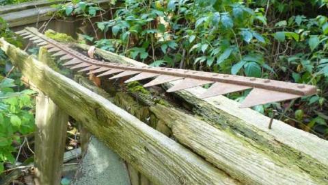 Man's field - P1090862.jpg