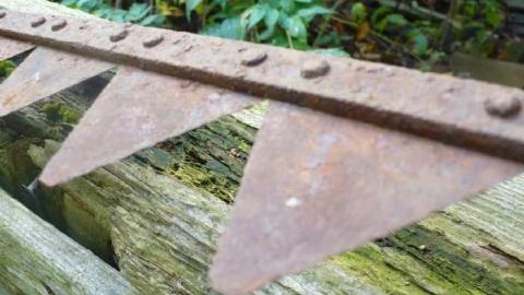 Man's field - P1090863.jpg