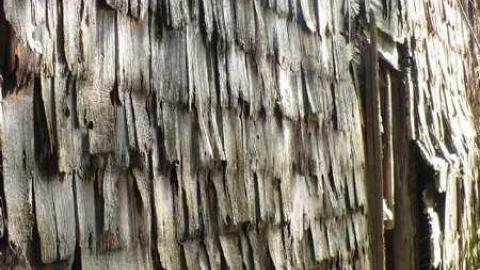 Man's field - P1090865.jpg