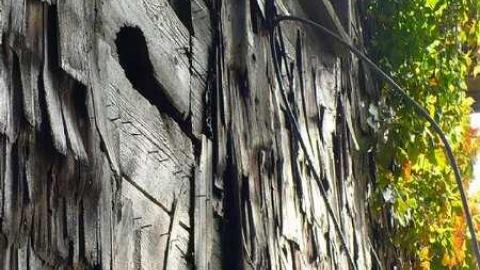 Man's field - P1090866.jpg