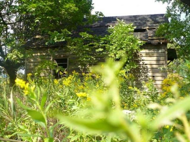 Kettleby Barnage photo 5