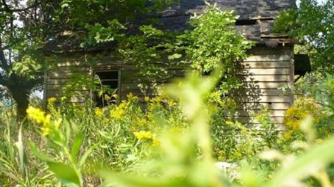 Kettleby Barnage photo 5