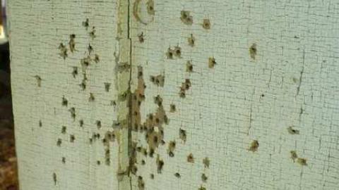 Barnage - Kettleby-Barnage22.jpg