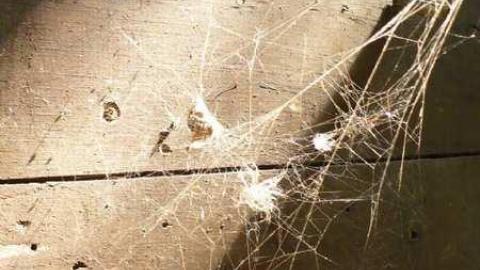 Barnage - Kettleby-Barnage16.jpg