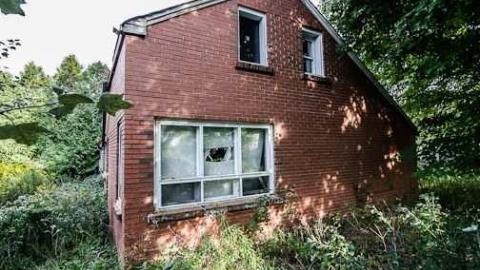 Hidden in the brush - Highest-Point-in-York53.jpg