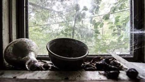 Hidden in the brush - Highest-Point-in-York35.jpg