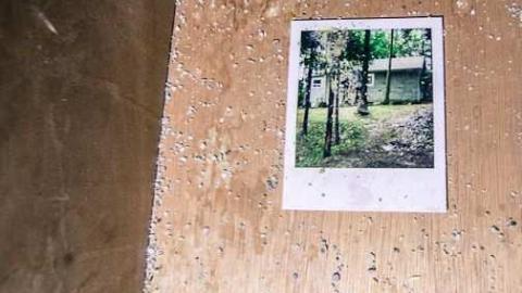 Hidden in the brush - Highest-Point-in-York36.jpg