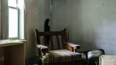 Hidden in the brush - Highest-Point-in-York59.jpg