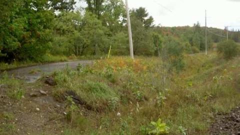 Classic Black and White - Falkenburg-GhostTown-Galleries12.jpg