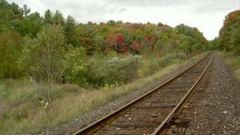 Classic Black and White - Falkenburg-GhostTown-Galleries27.jpg