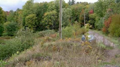 Classic Black and White - Falkenburg-GhostTown-Galleries28.jpg