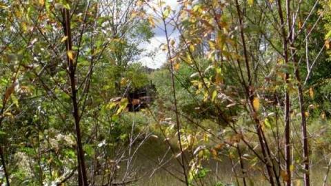 Falkenburg GhostTown Galleries photo 4