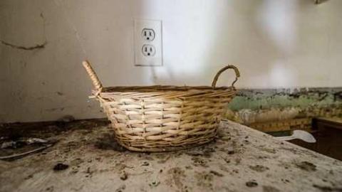 854 Regional Road 4 photo 5