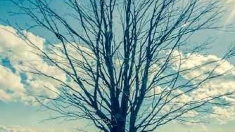 854 Regional Road 4 - Whitby, Ontario