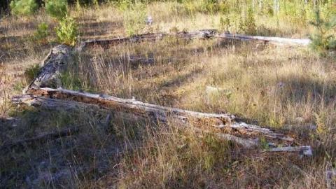 Pigeon River Provincial Park photo 4