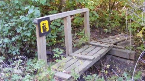 Pigeon River - Pigeon-River-Provincial-Park25.jpg