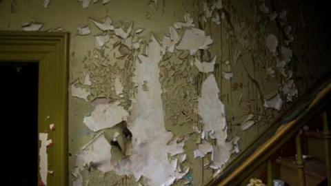 Something in the Basement! - Highpoint-Of-The-Day170.jpg