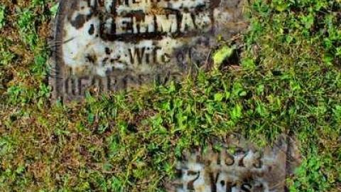 Annan Pioneer Cemetery photo 2