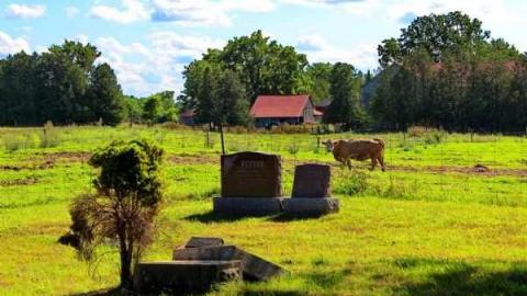 Photo from B-smiths, G.store , P.O. & cem