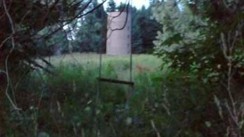 Highpoint Of The Day photo 3