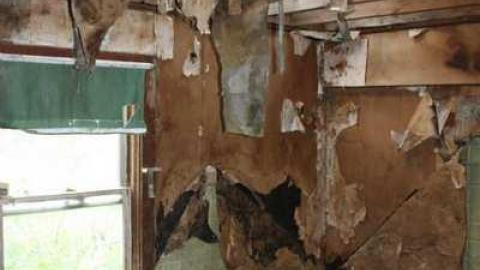 Photo from Abandoned Farm House